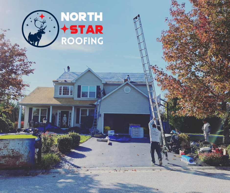 North Star Roofing Image