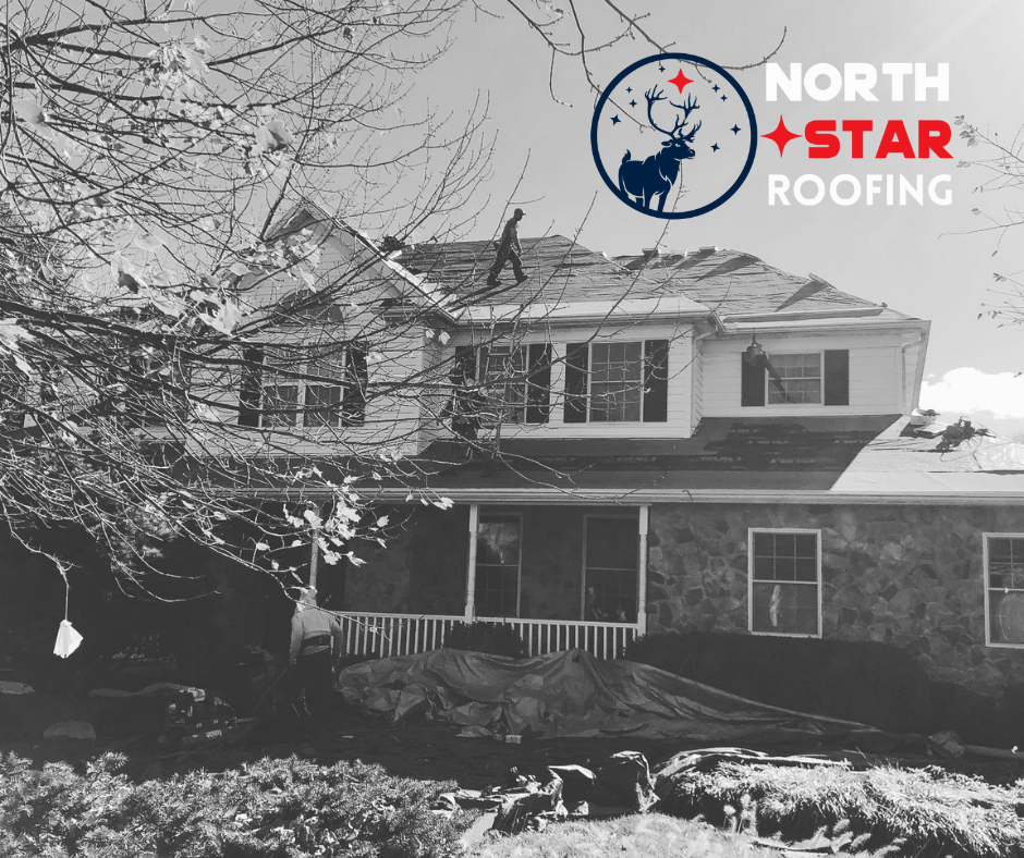 North Star Roofing Image