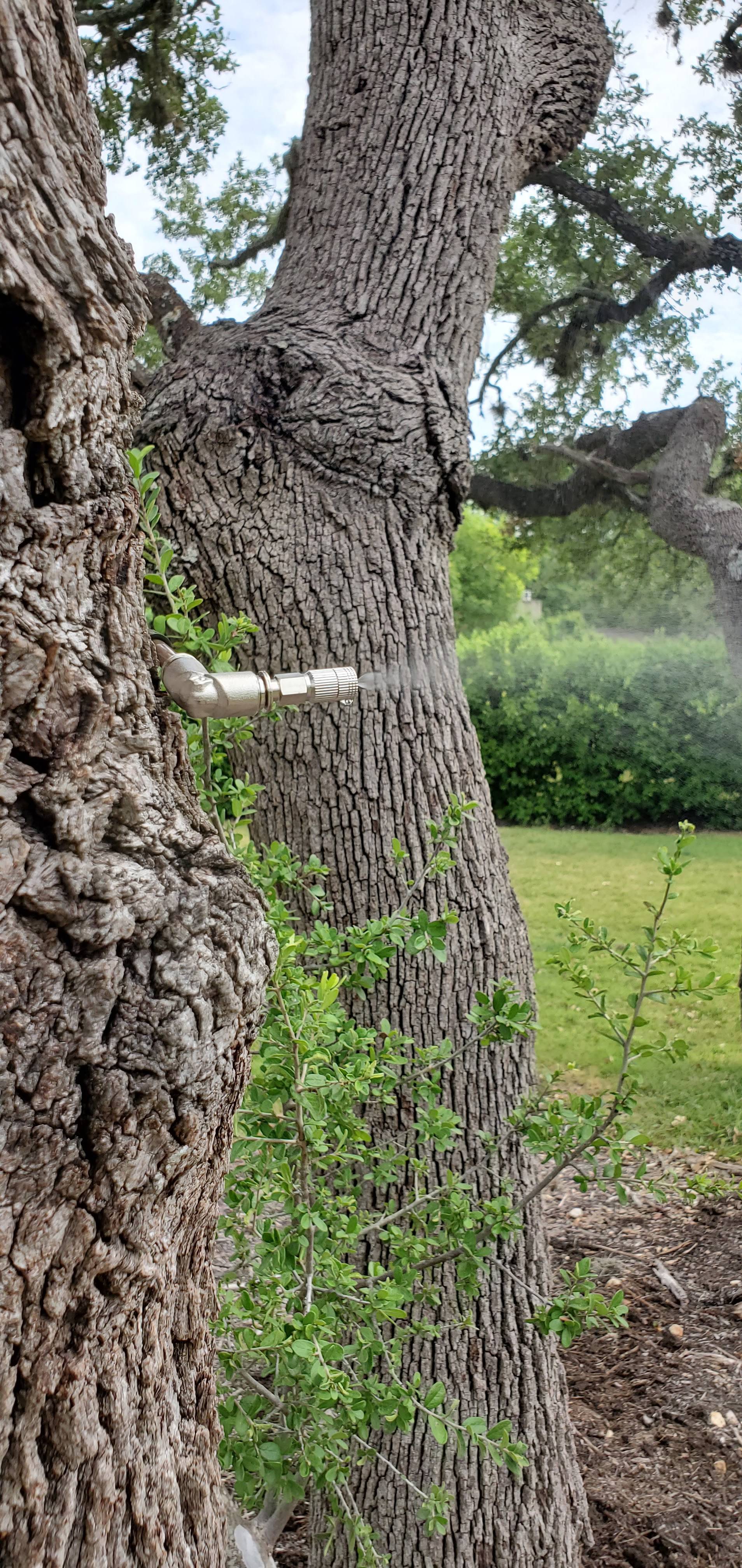Pro Defense Pest Control - New Braunfels, TX