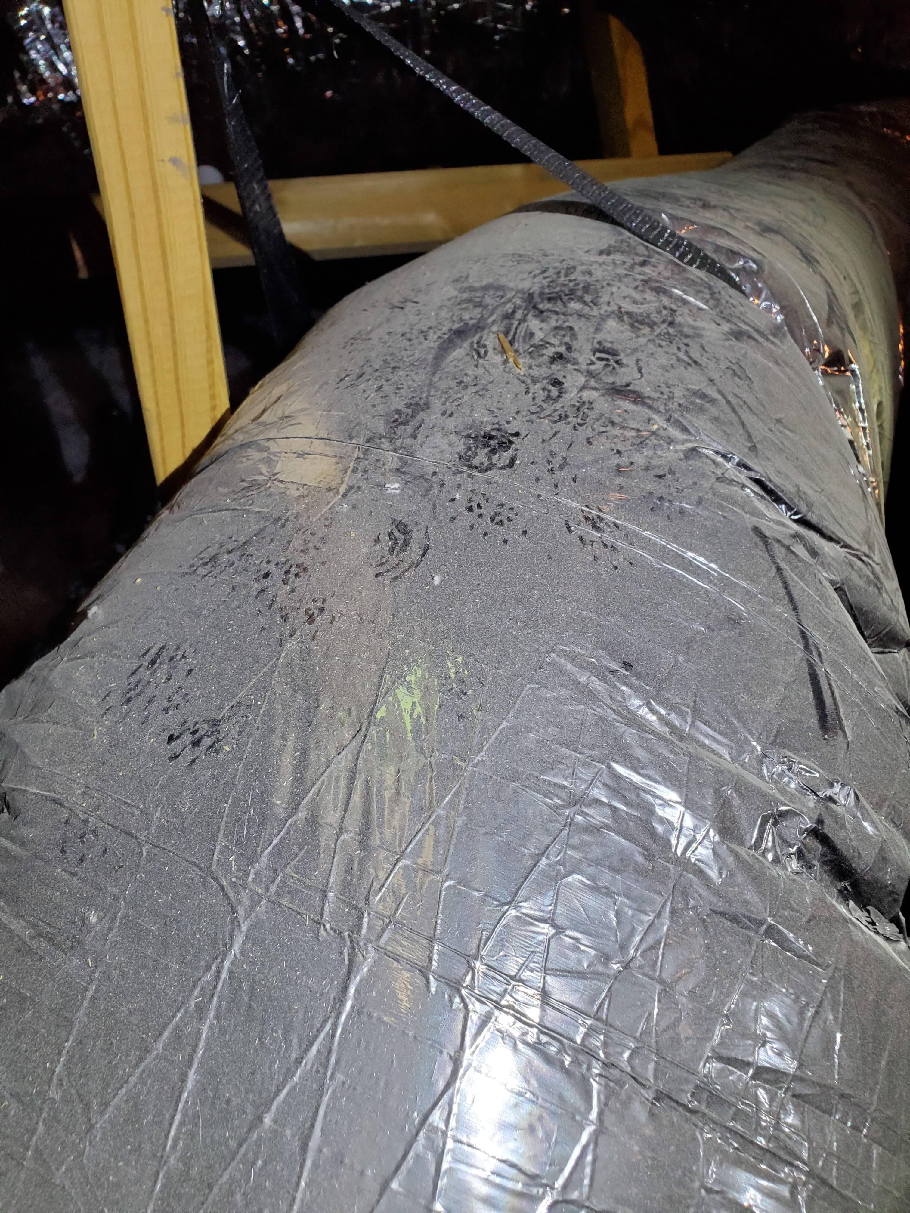 Pro Defense Pest Control - New Braunfels, TX