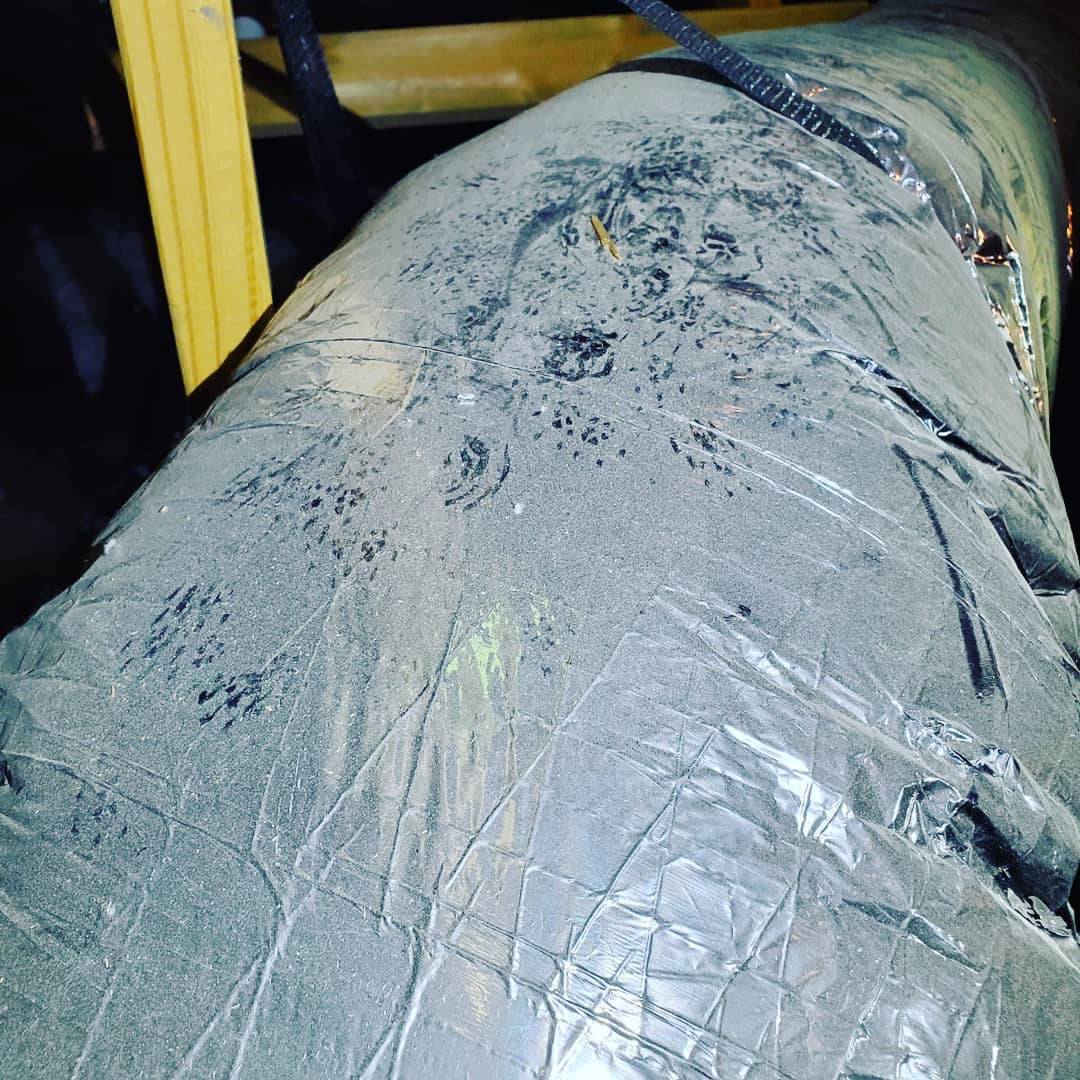 Pro Defense Pest Control - New Braunfels - New Braunfels, TX