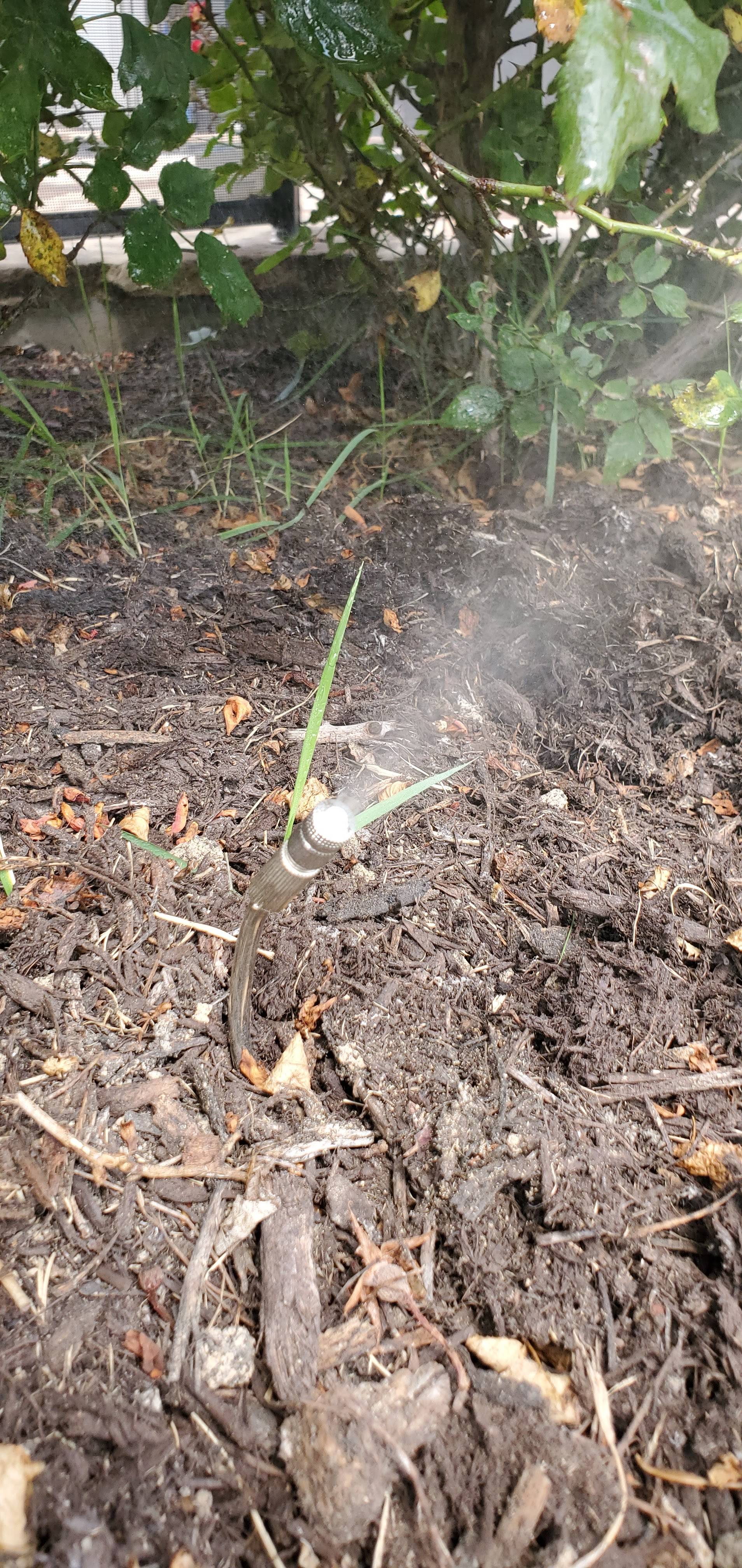 Pro Defense Pest Control - New Braunfels, TX