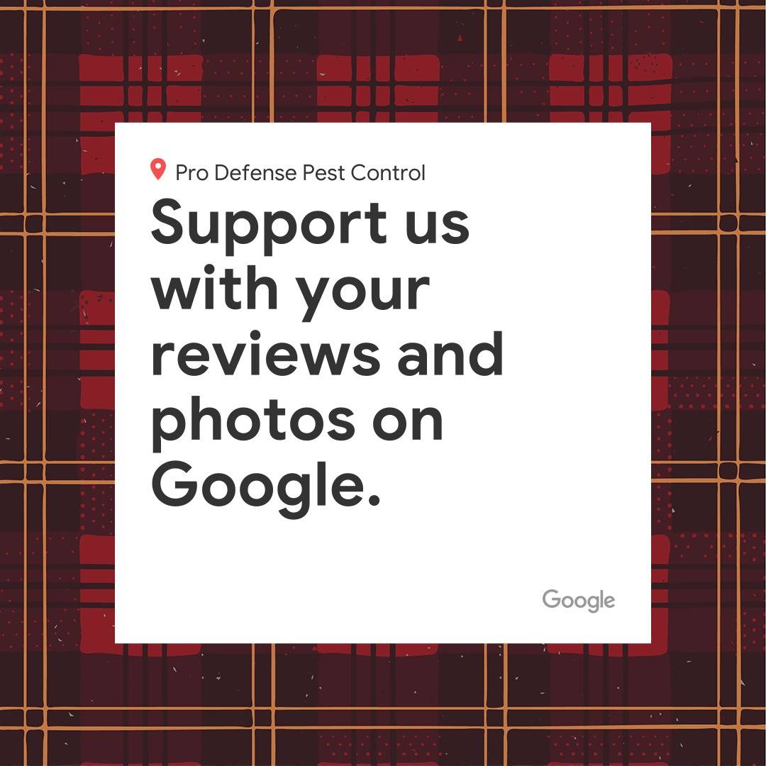 Pro Defense Pest Control - New Braunfels, TX