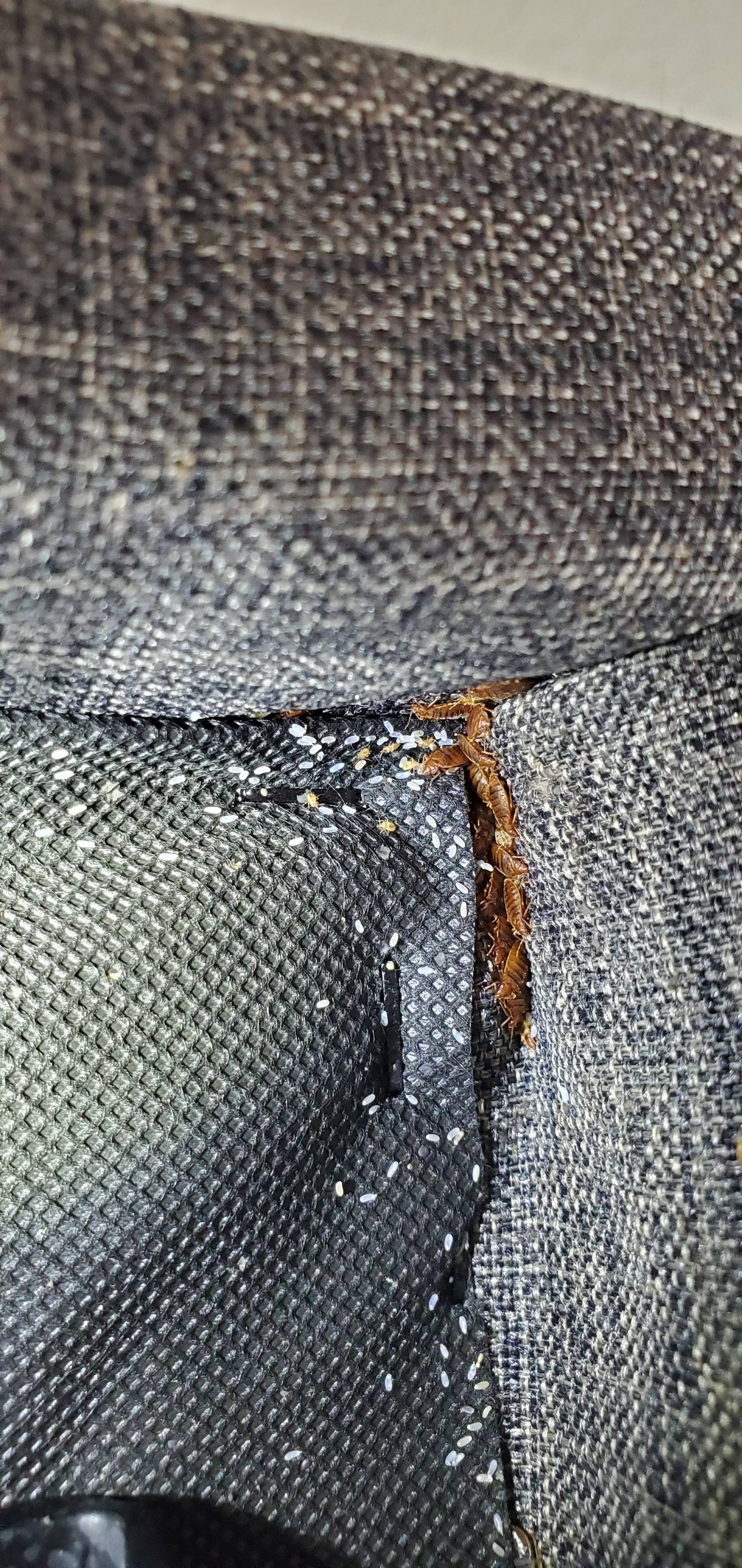 Pro Defense Pest Control - New Braunfels - New Braunfels, TX