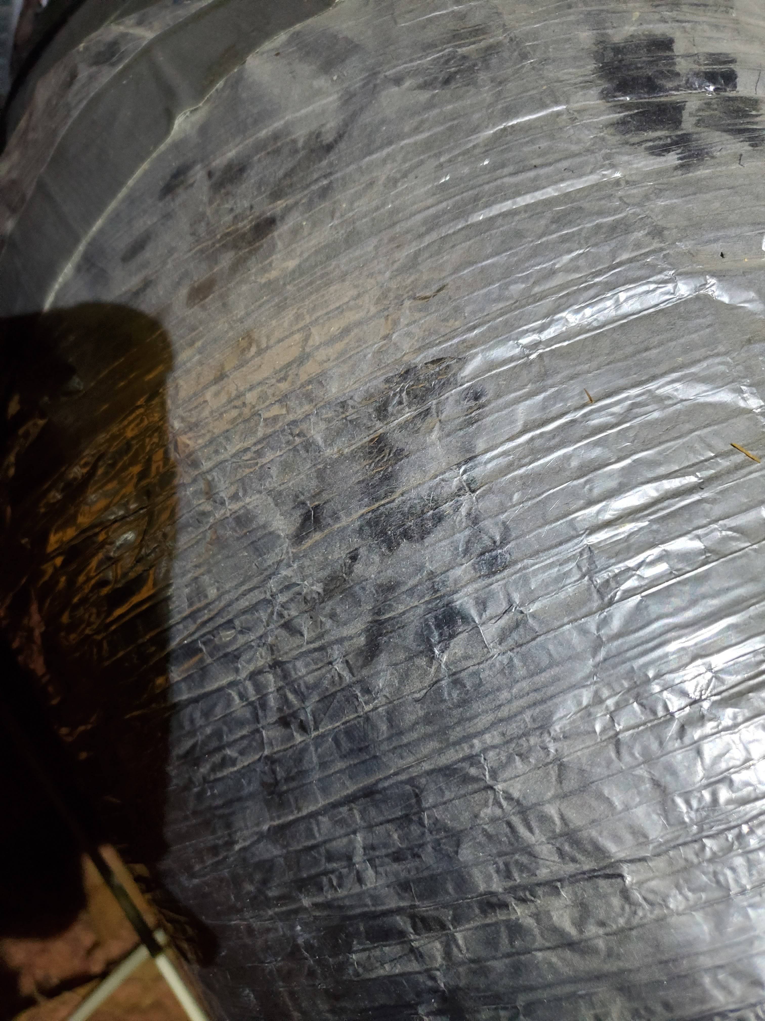 Pro Defense Pest Control - New Braunfels, TX