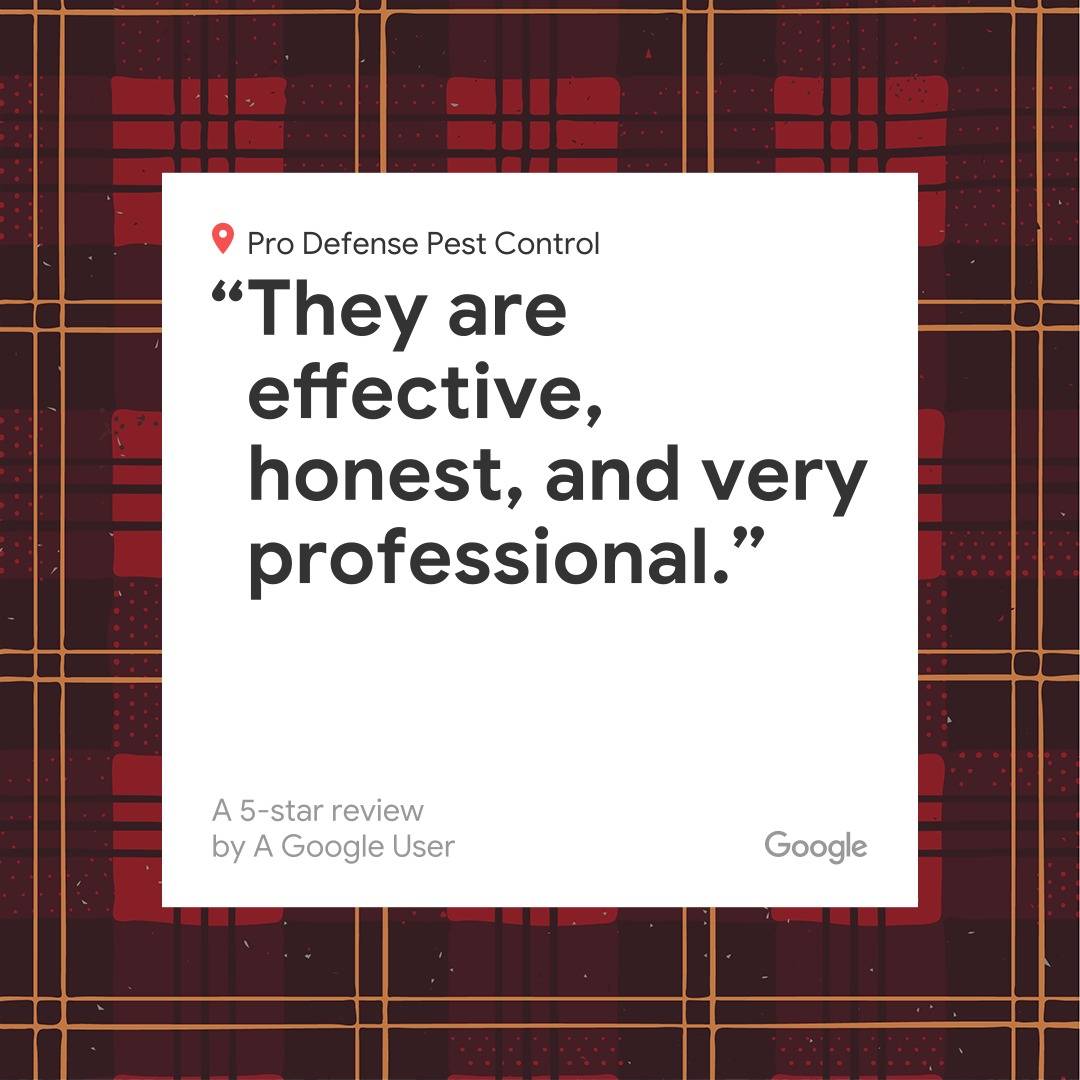 Pro Defense Pest Control - New Braunfels, TX