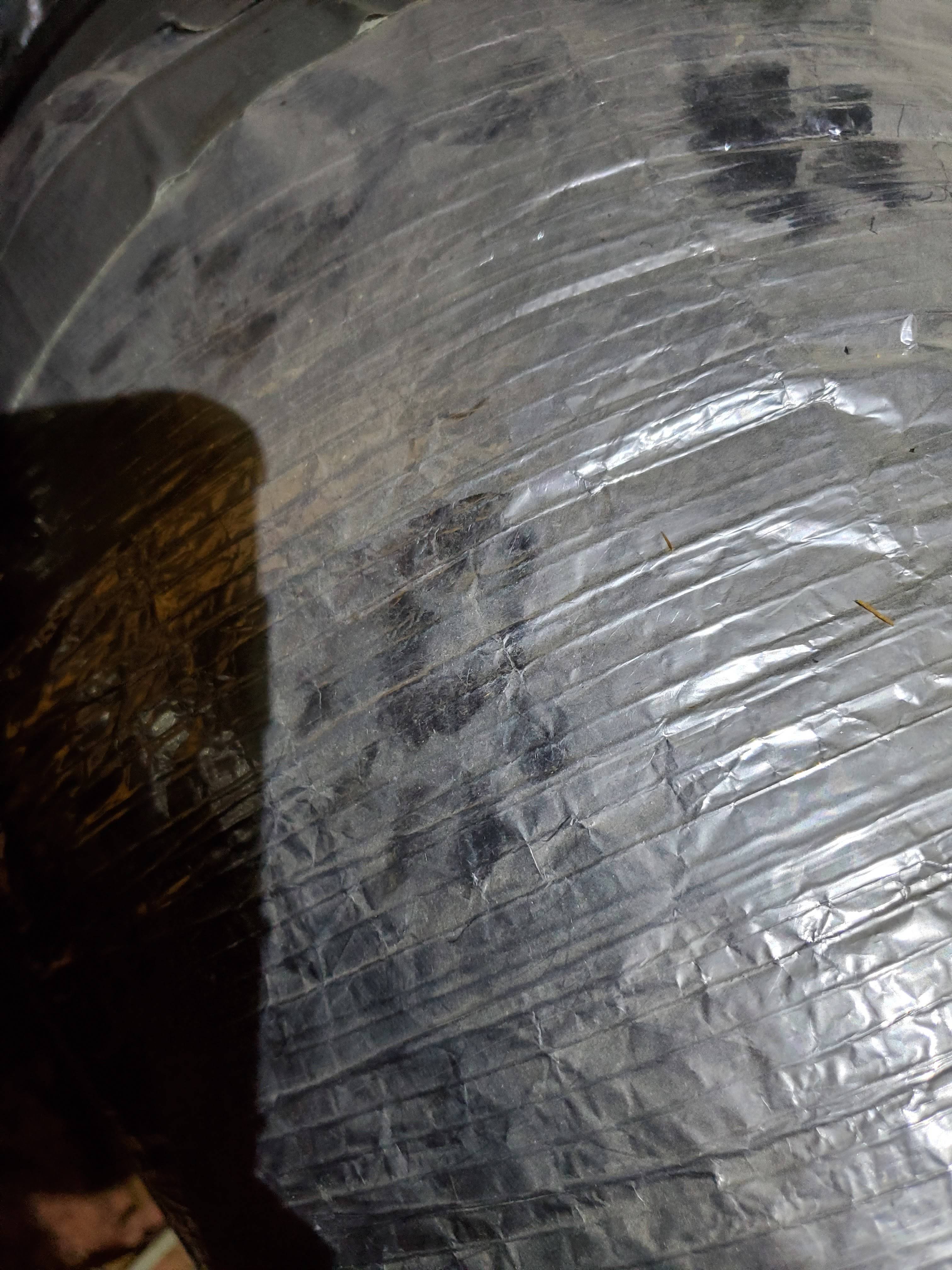 Pro Defense Pest Control - New Braunfels - New Braunfels, TX