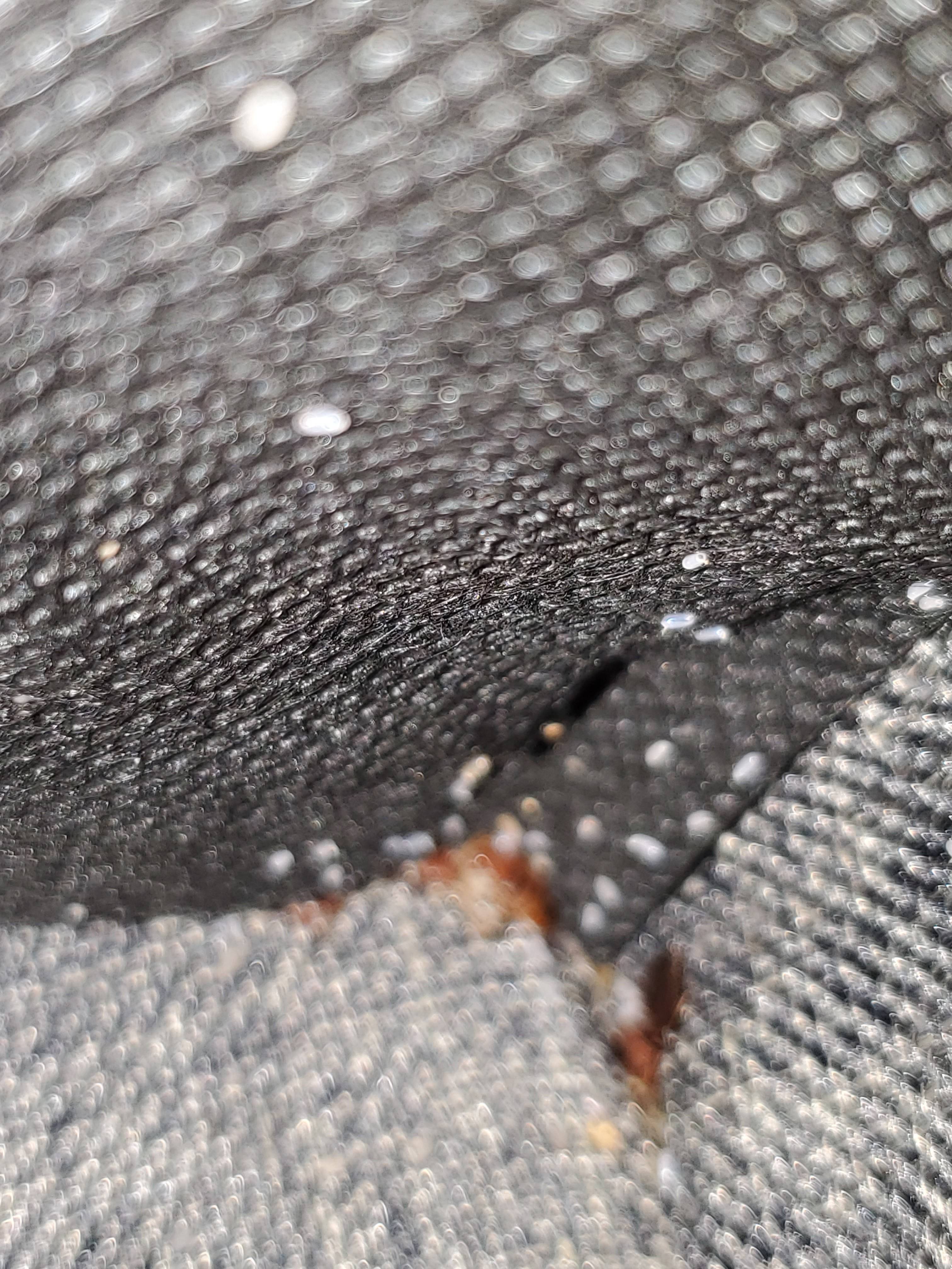 Pro Defense Pest Control - New Braunfels, TX