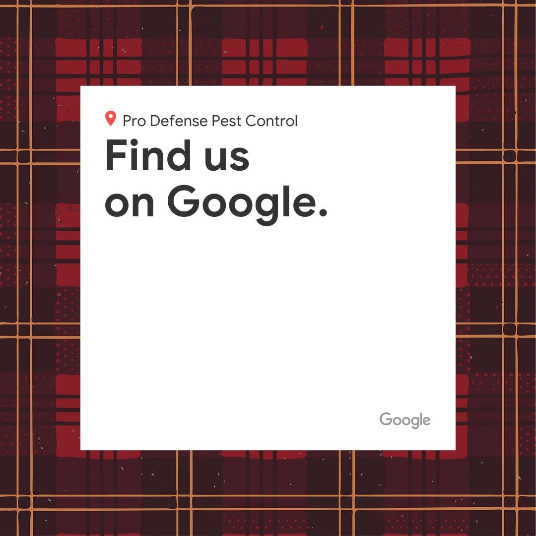 Pro Defense Pest Control - New Braunfels, TX