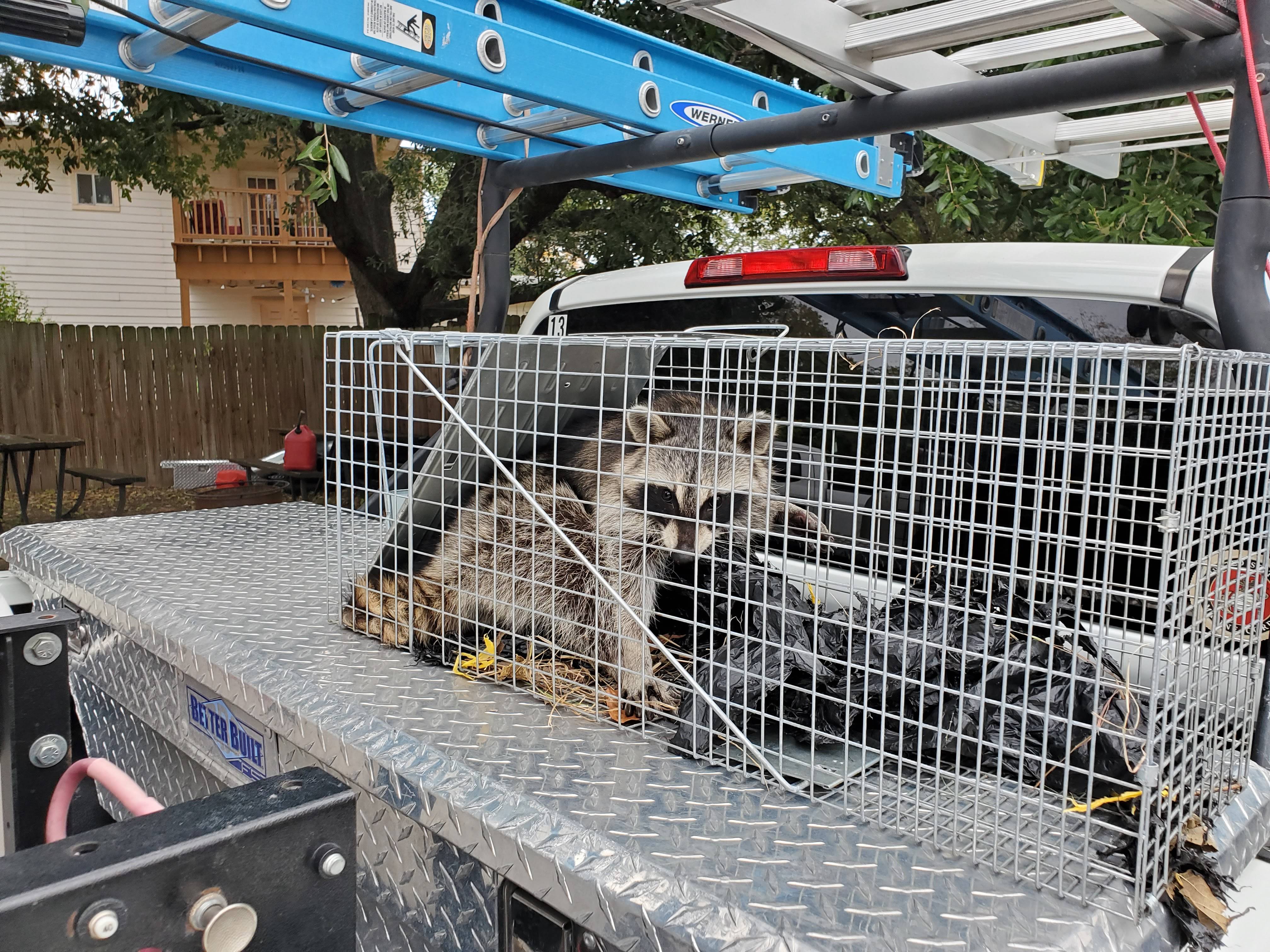 Pro Defense Pest Control - New Braunfels - New Braunfels, TX