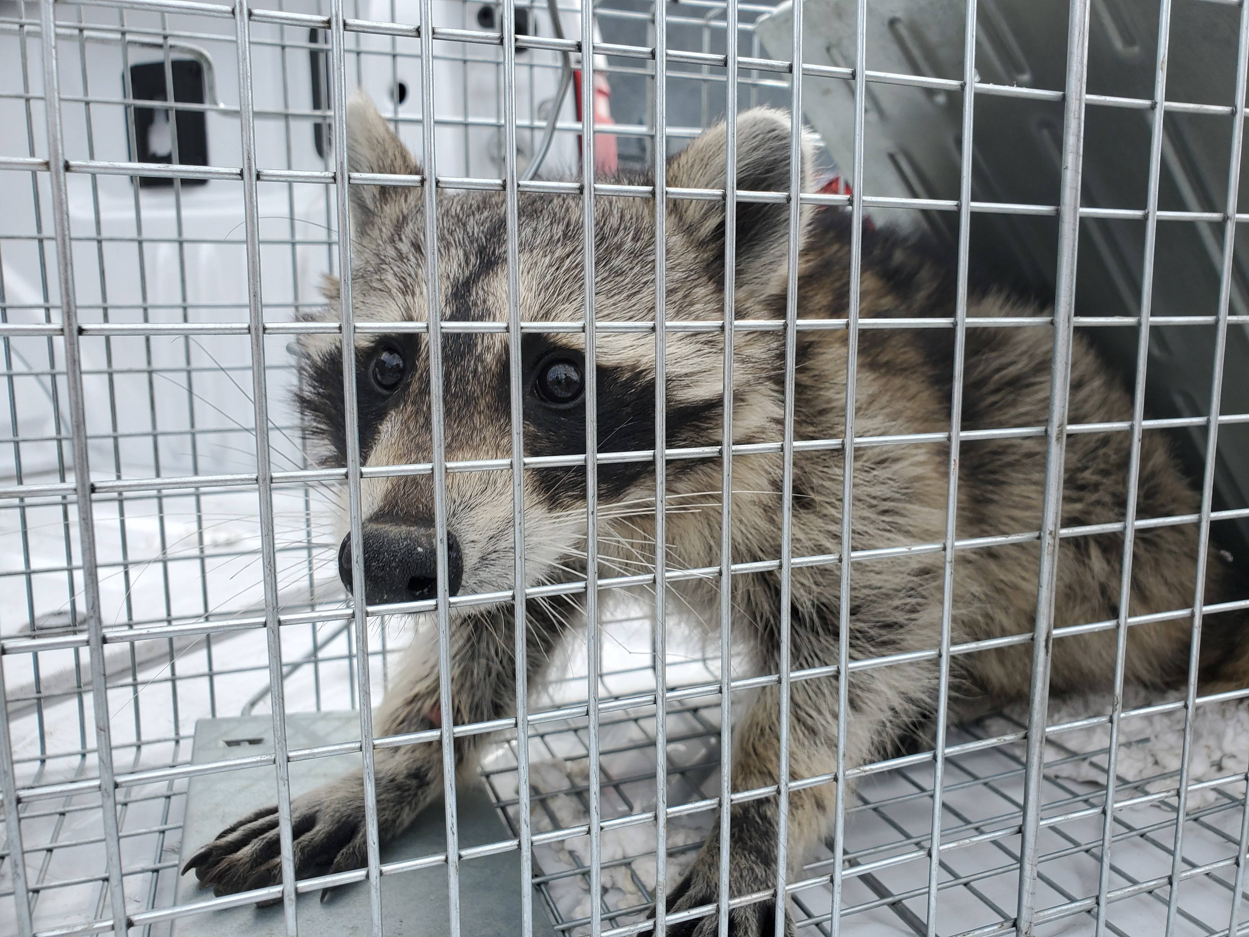 Pro Defense Pest Control - New Braunfels - New Braunfels, TX