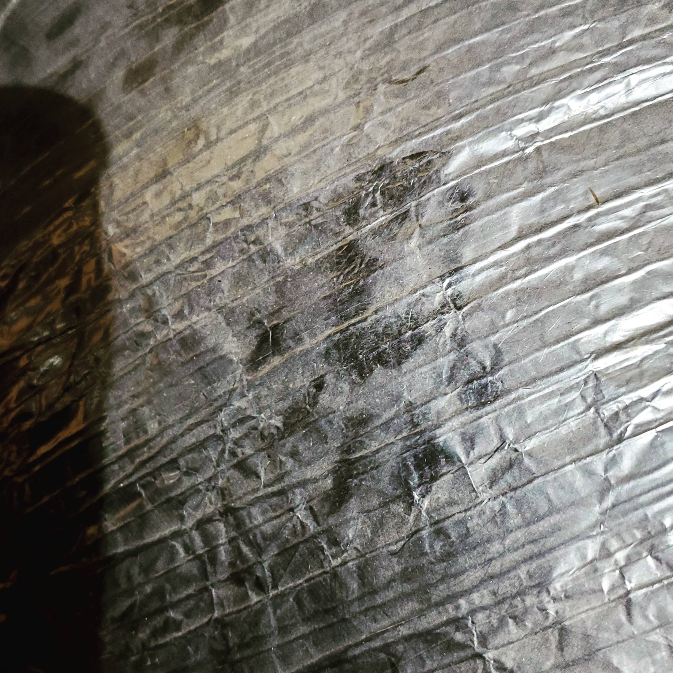 Pro Defense Pest Control - New Braunfels - New Braunfels, TX