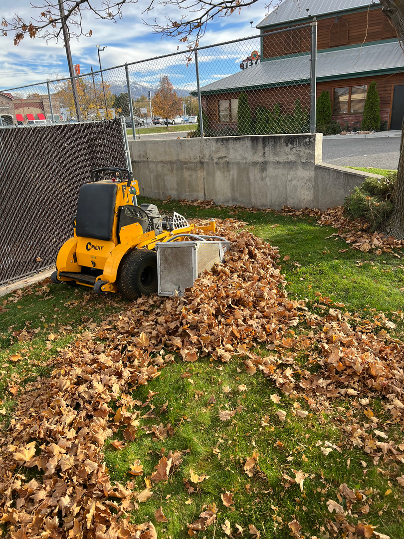 Healey Landscape Co Logo