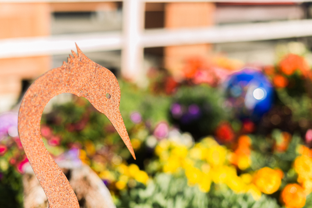 Elise Buie Family Law, PLLC Image