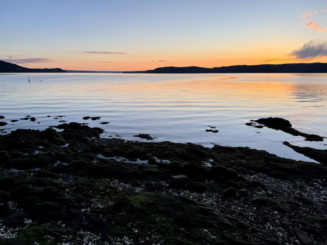 Elise Buie Family Law, PLLC Image