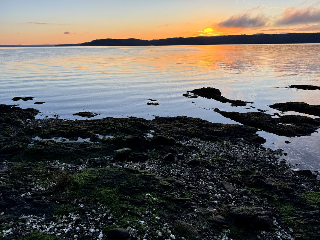 Elise Buie Family Law, PLLC Image