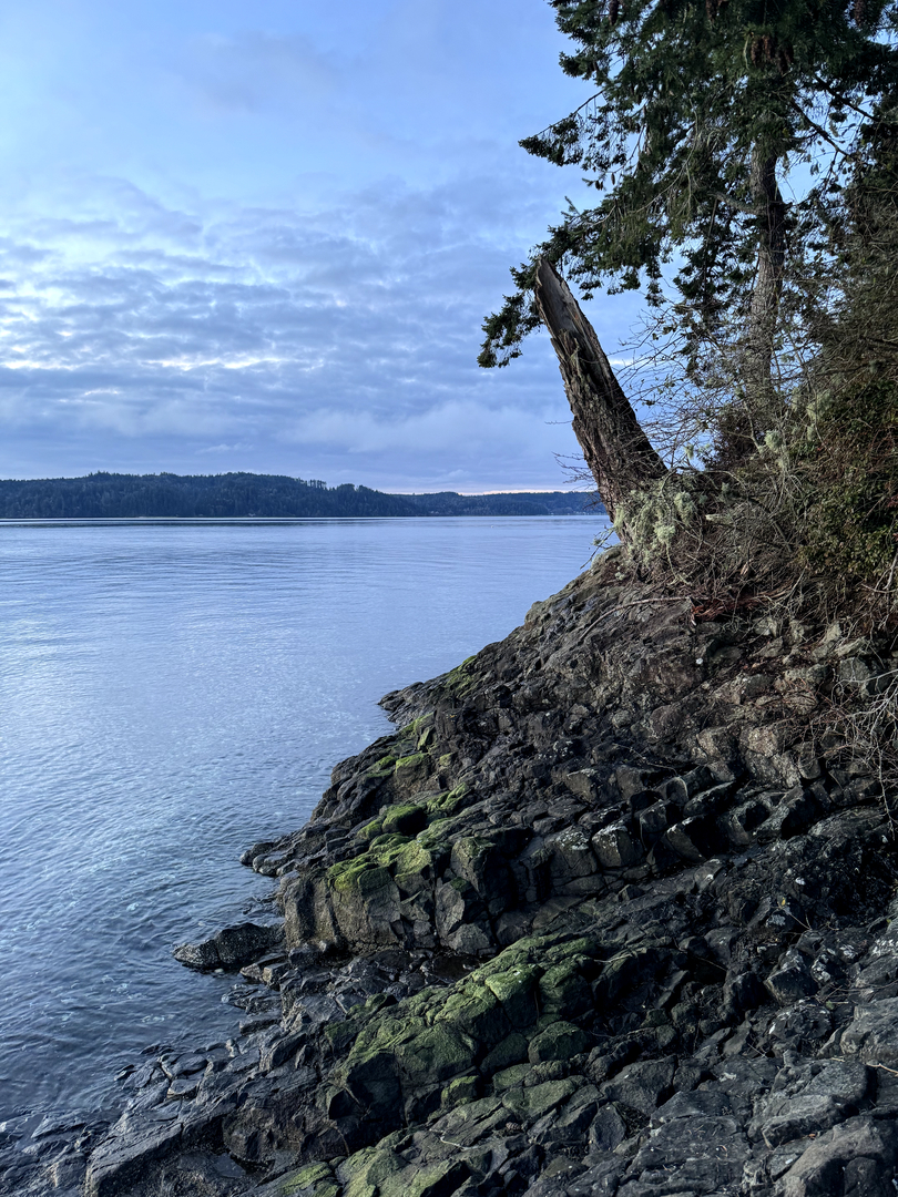 Elise Buie Family Law, PLLC Image