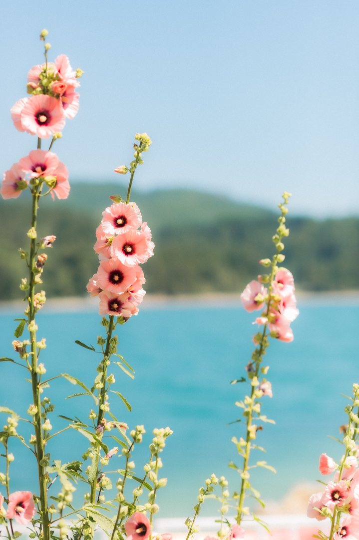 Elise Buie Family Law, PLLC Image