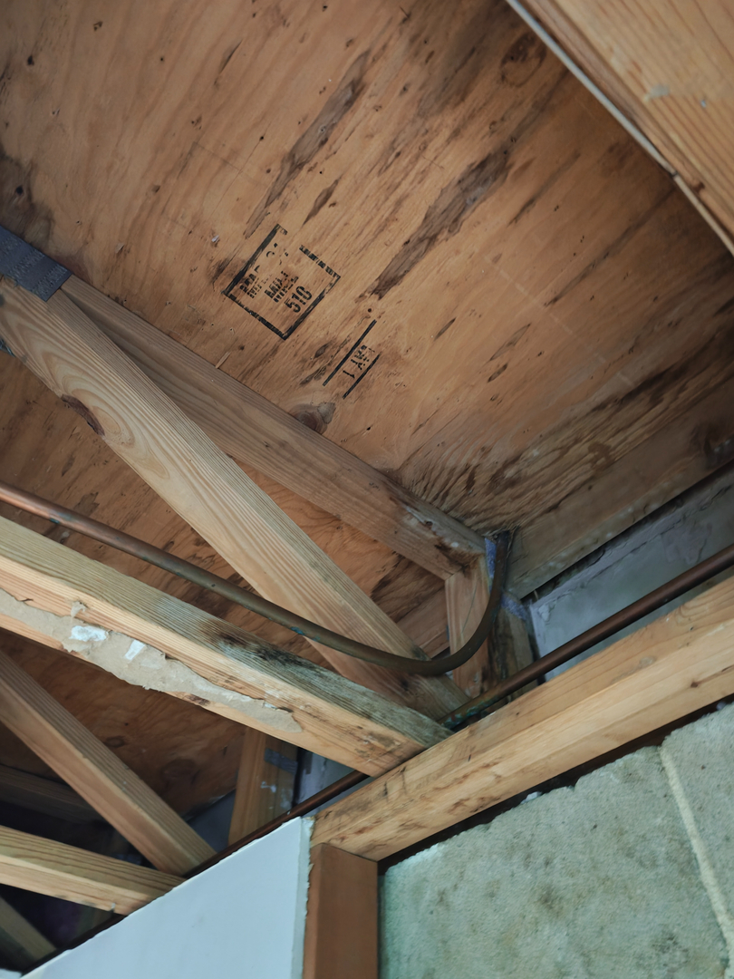 My Water Damage Hero Image