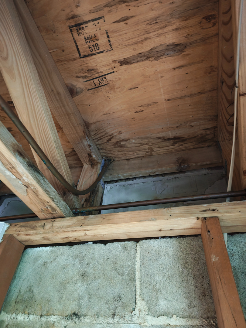 My Water Damage Hero Image