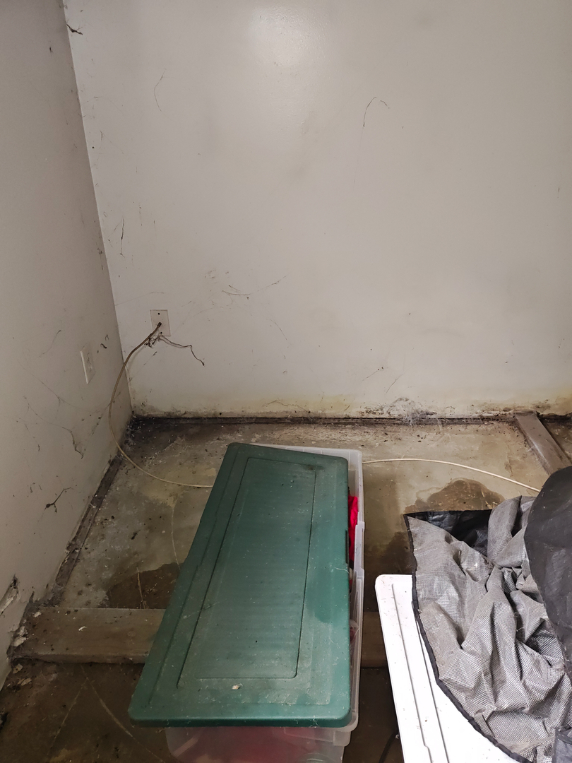 My Water Damage Hero Image