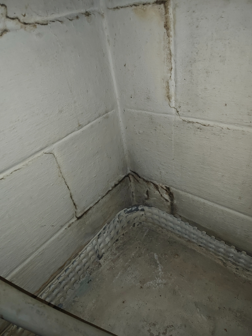 My Water Damage Hero Image