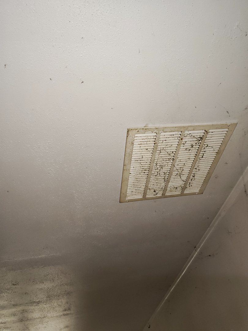 My Water Damage Hero Image