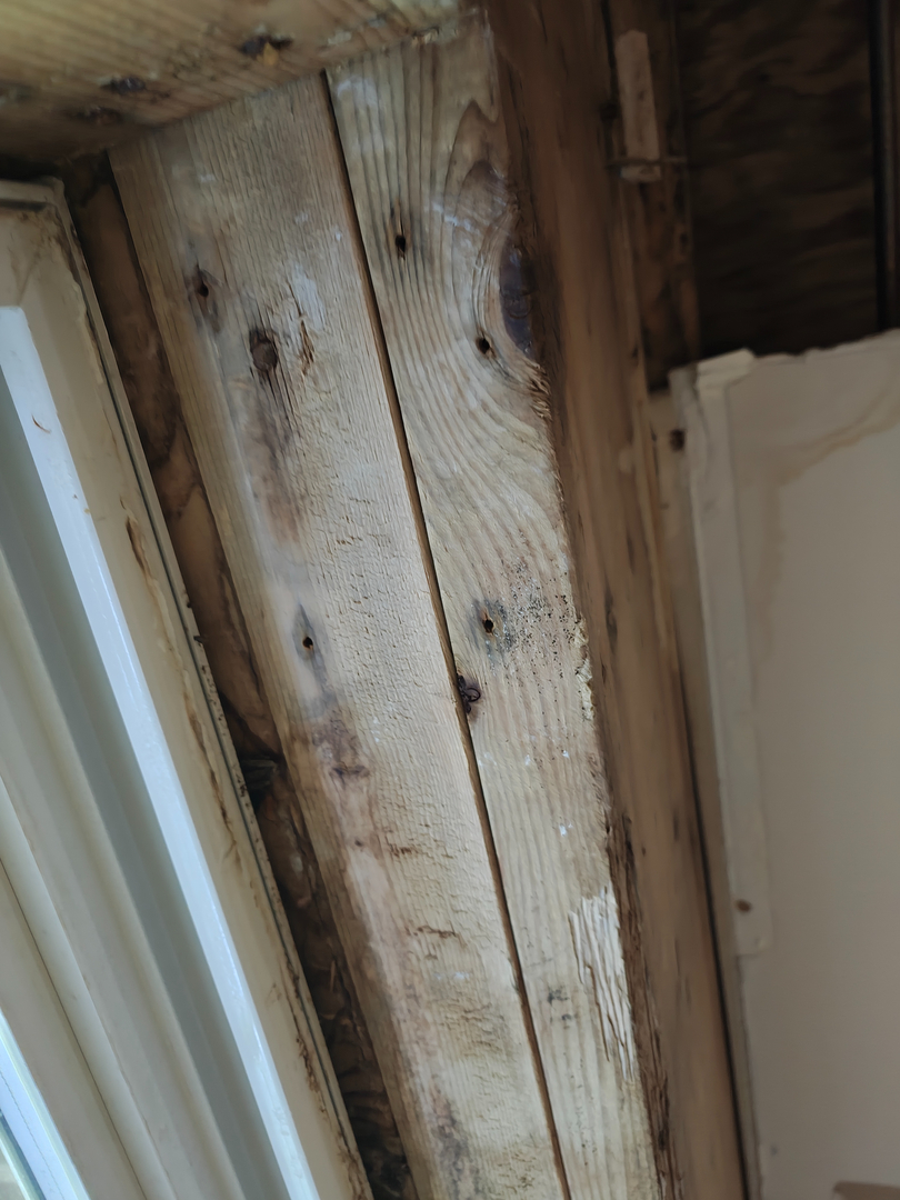 My Water Damage Hero Image