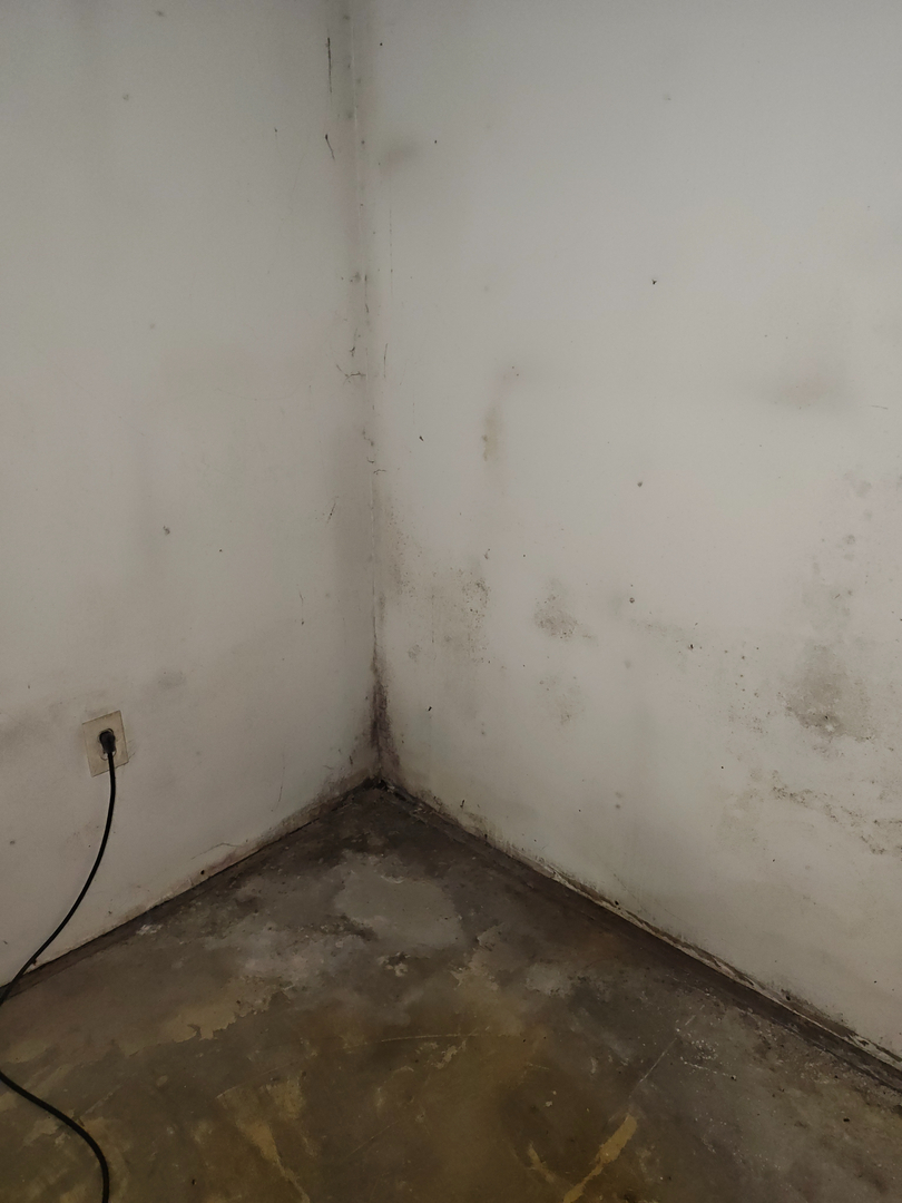 My Water Damage Hero Image