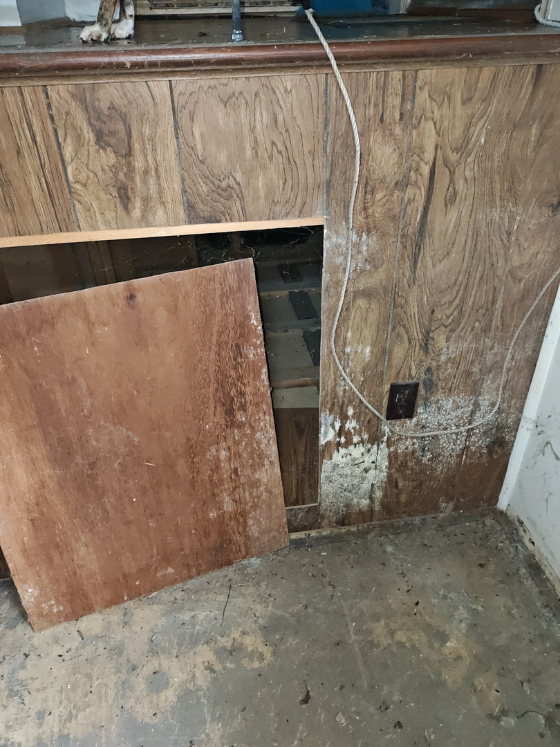 My Water Damage Hero Image