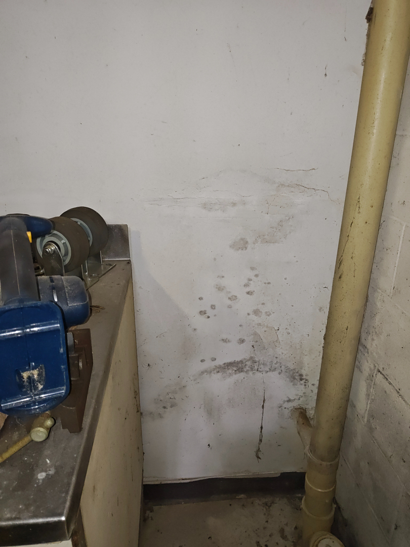 My Water Damage Hero Image