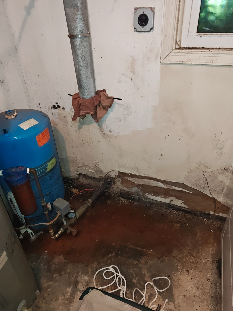 My Water Damage Hero Image