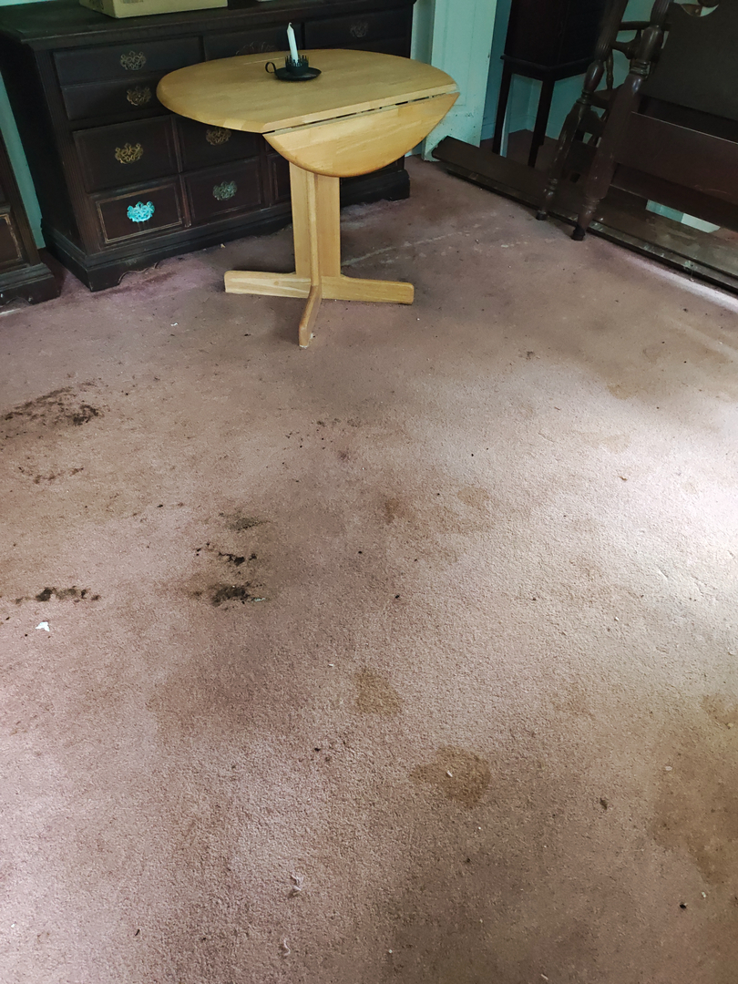 My Water Damage Hero Image