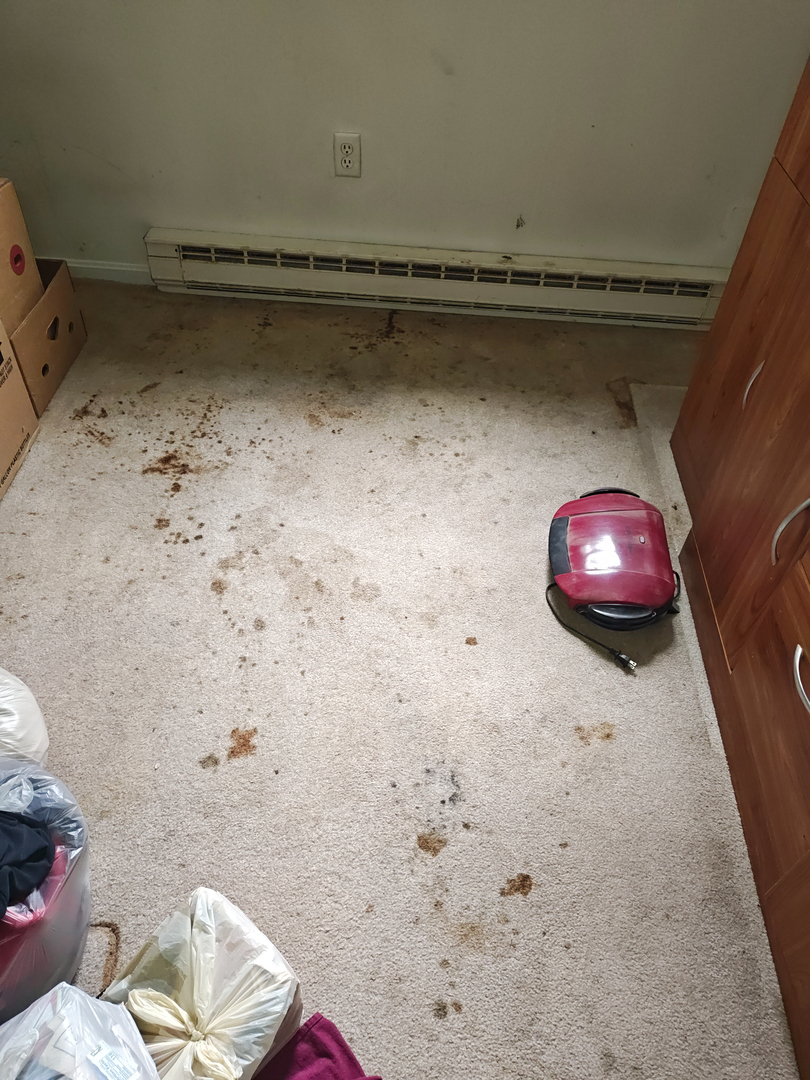 My Water Damage Hero Image