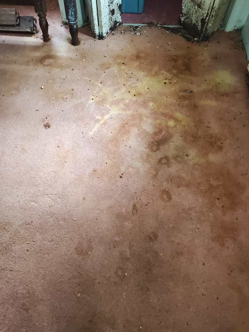 My Water Damage Hero Image