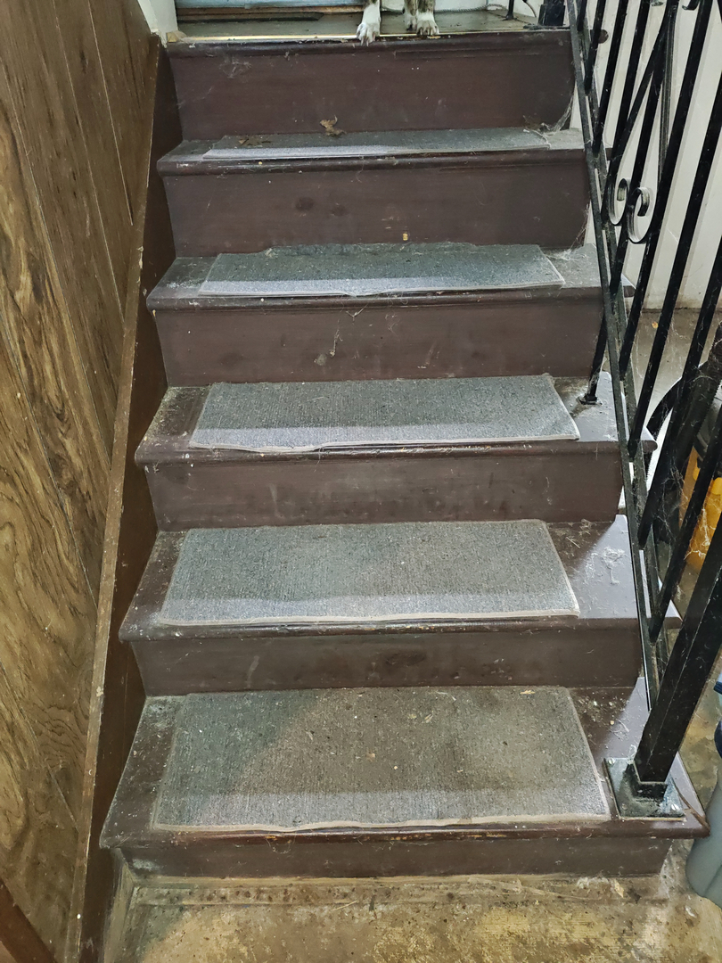 My Water Damage Hero Image