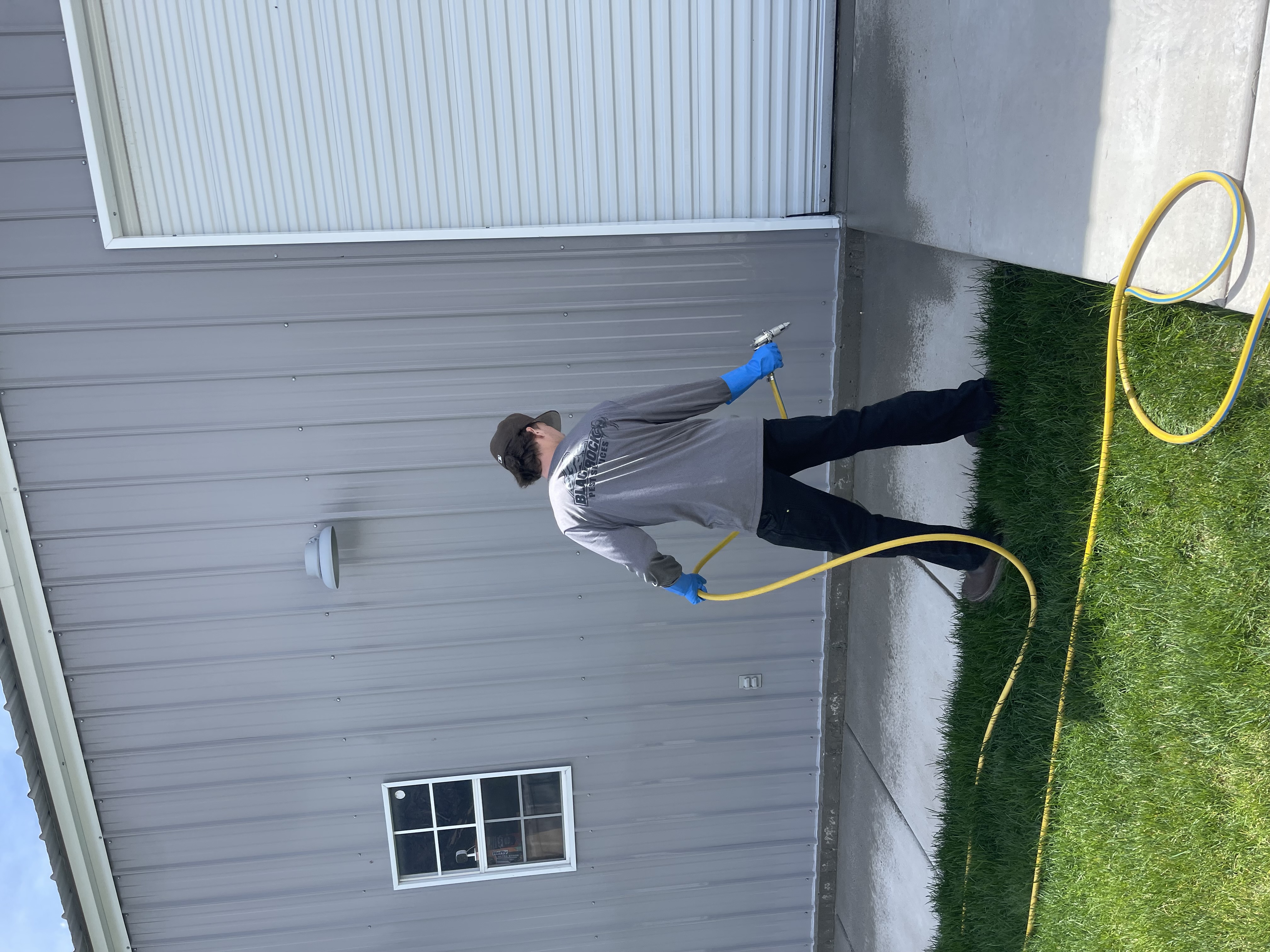 Black Rock Pest Services