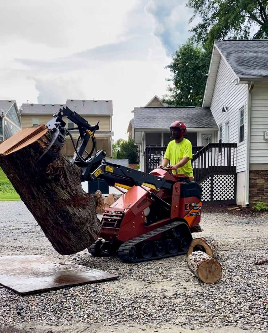 Restoration Tree Care Image