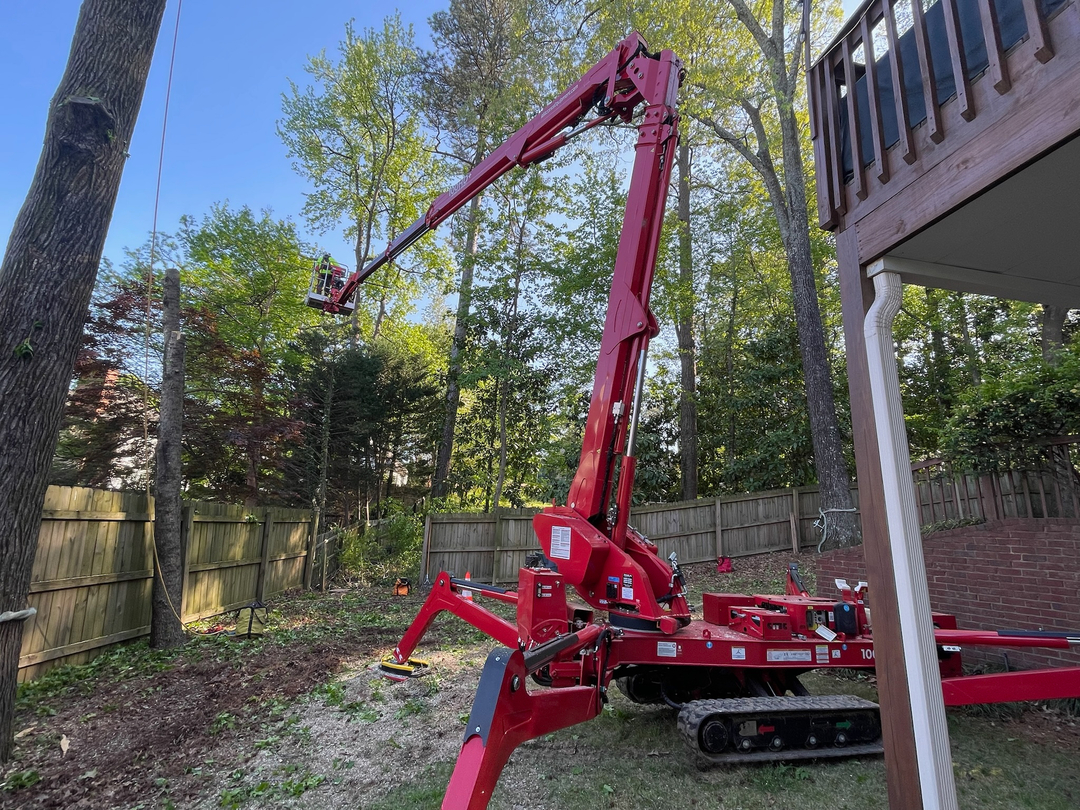 Restoration Tree Care Image