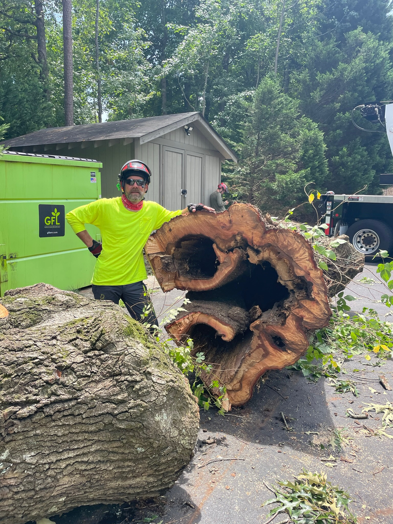 Restoration Tree Care Image