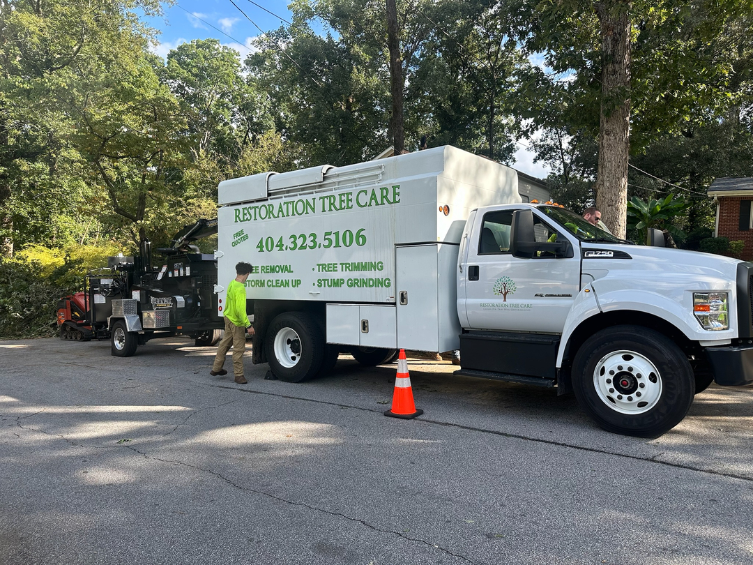 Restoration Tree Care Image