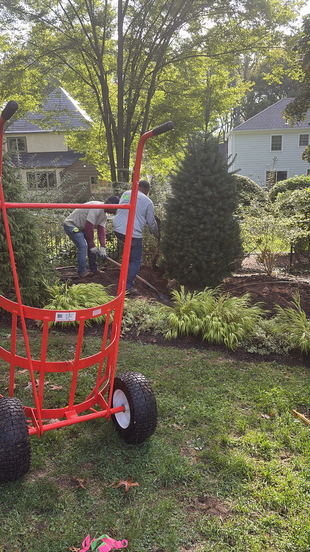 QuietCare Landscaping Image