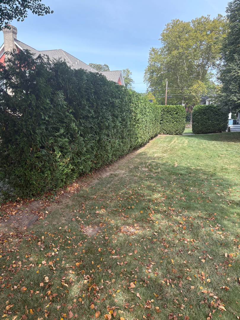 QuietCare Landscaping Image