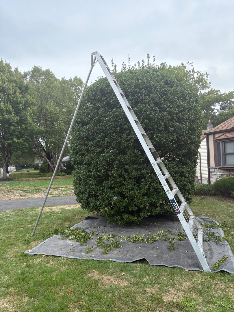 QuietCare Landscaping Image