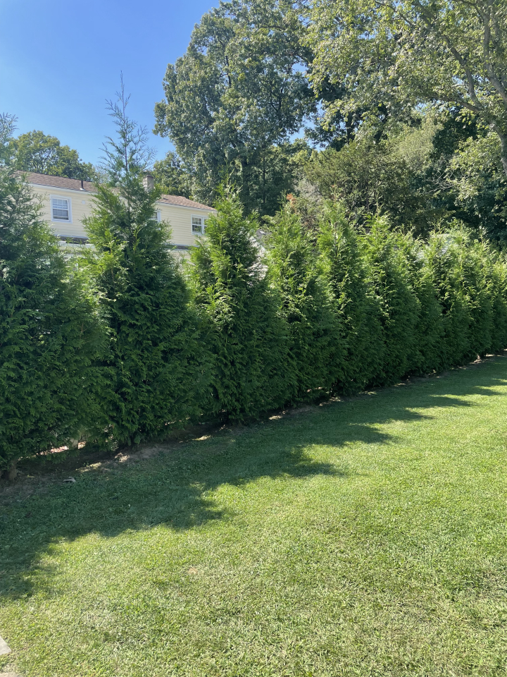 QuietCare Landscaping Image