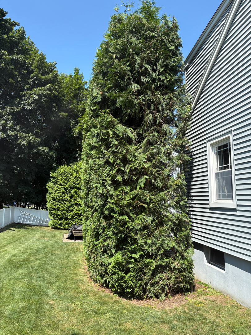 QuietCare Landscaping Image