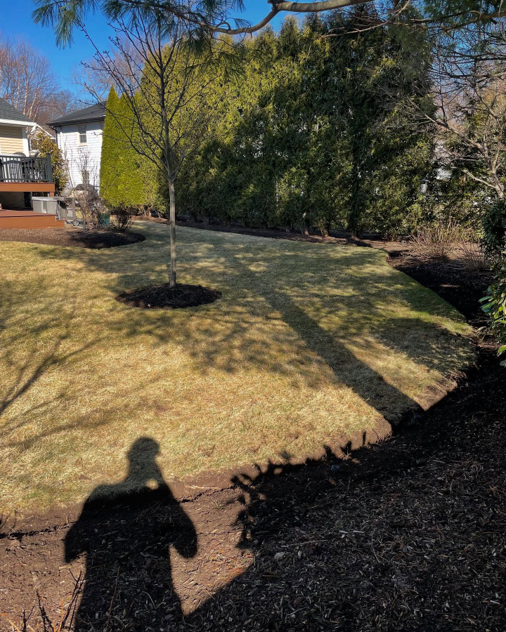 QuietCare Landscaping Image