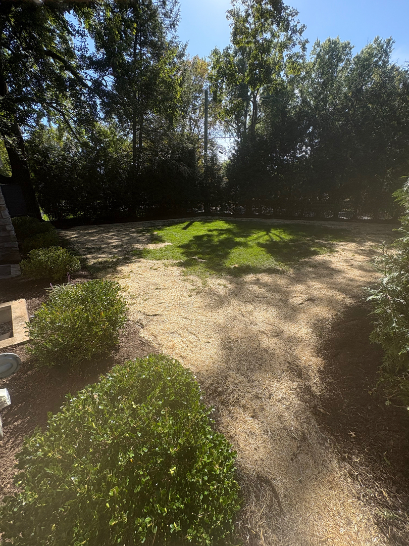 QuietCare Landscaping Image