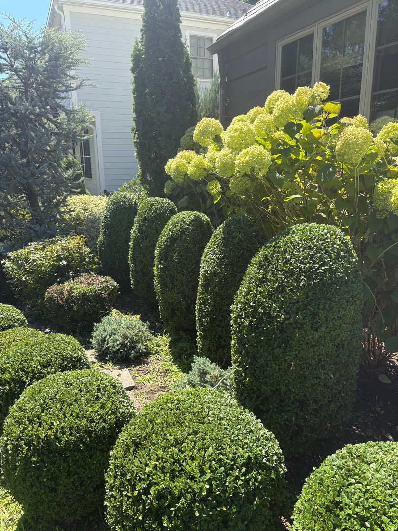 QuietCare Landscaping Image