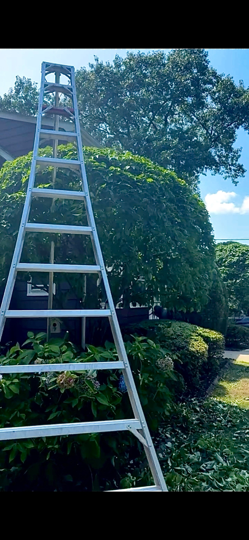 QuietCare Landscaping Image